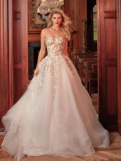Aelin