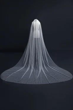 Aelin Veil