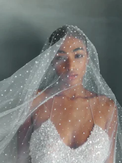 Carla Veil