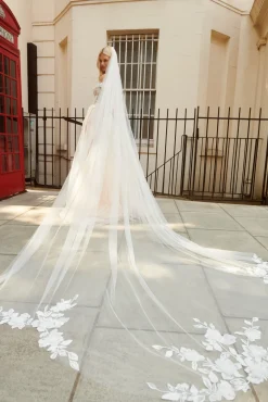 Demi Veil
