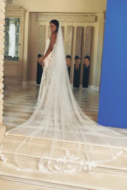 Jamie Veil
