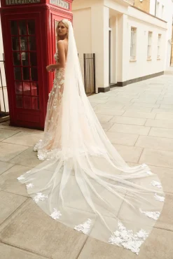 Lee Veil