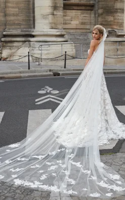 Sandy Veil