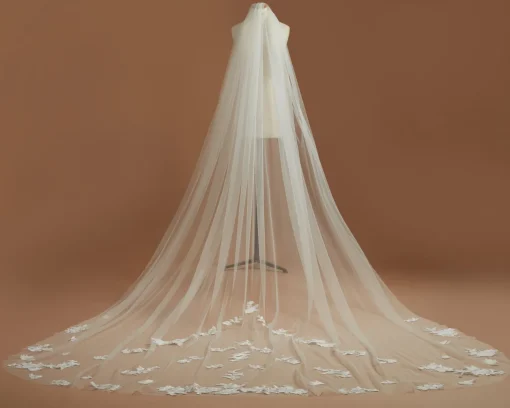Sandy Veil